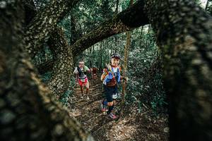 BIB: 
                            <button type="button" onclick="openModal(25392186)" class="btn btn-primary btn-sm float-right btn-popup" data-toggle="modal" data-target=".modal-high-quality">
                        <i class="fas fa-shopping-cart"></i> Add to Cart
                    </button>
                                            <button type="button" onclick="isThisMe(25392186, true)" class="btn btn-success btn-sm float-right btn-popup btn-isme hidden" data-toggle="tooltip" data-placement="bottom" title="นี่คือรูปของคุณใช่ไหม คลิกที่นี่เพื่อเอาเข้าอัลบั้ม">
                        <i class="fas fa-plus"></i> Add to album
                    </button>
                    <button type="button" onclick="isThisMe(25392186, false)" class="btn btn-warning btn-sm float-right btn-popup btn-isnotme hidden">
                        <i class="fas fa-ban"></i> Remove from album
                    </button>